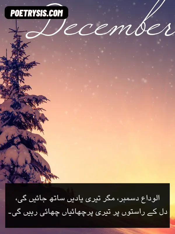 Alvida December