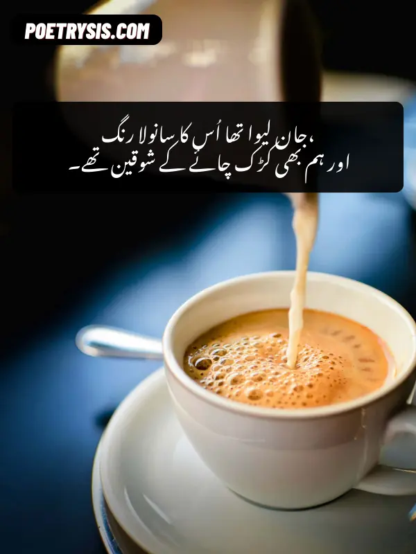 Chai Ke Lamhon Par Urdu Shayari