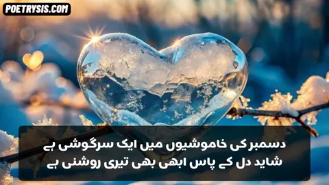 December ki Khamosiyon Main