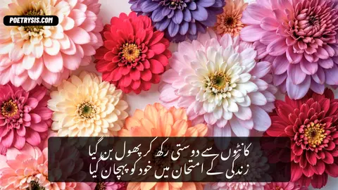 Kantoon sy dosti Poetry