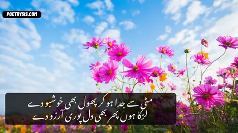 Matti sy judaa Poetry