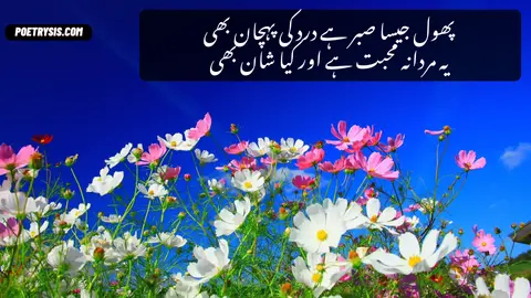 Phoiol jasa sabar Poetry