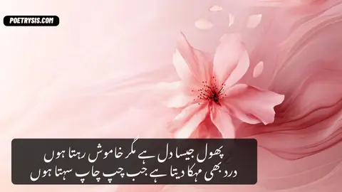 Phool Jaisa Dil Poetry