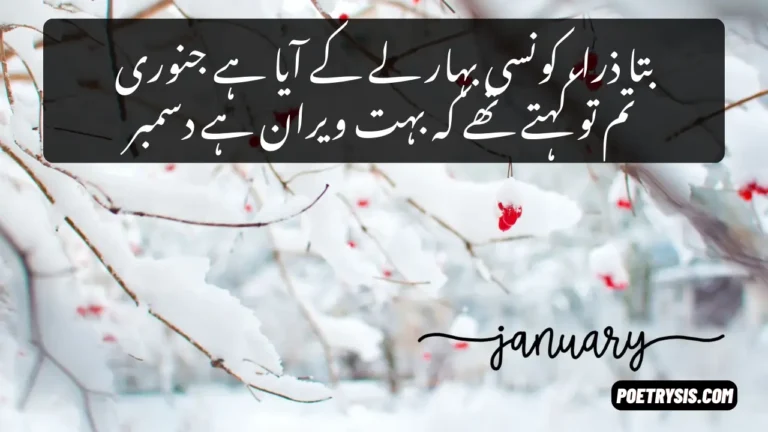 Romantic January Poetry