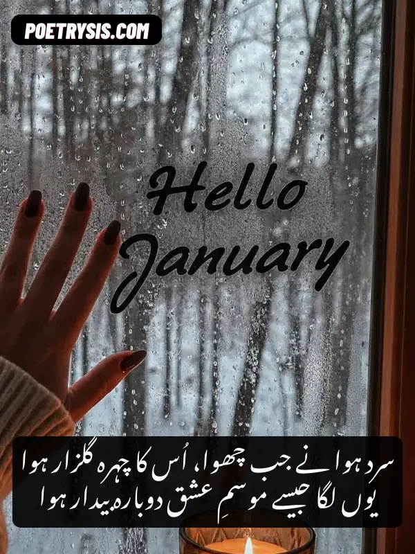 Romantic January Poetry