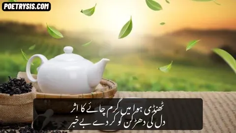 Thandi hawa main Poetry (1)