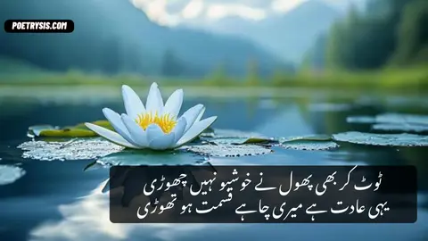 Toot kr bhi phool Poetry