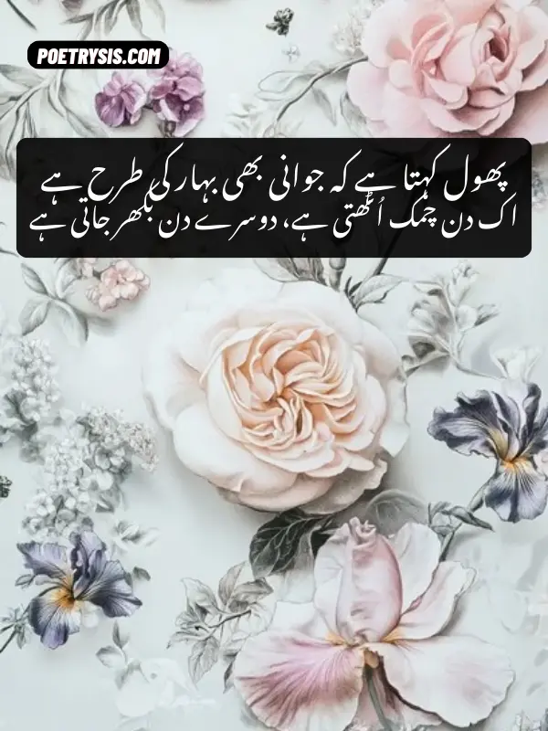 Flower Poetry in Urdu Text – 1 Line Quotes
