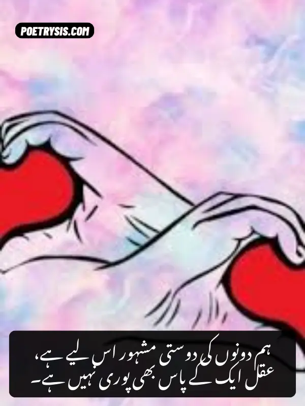Funny Dosti Shayari for Best Friends