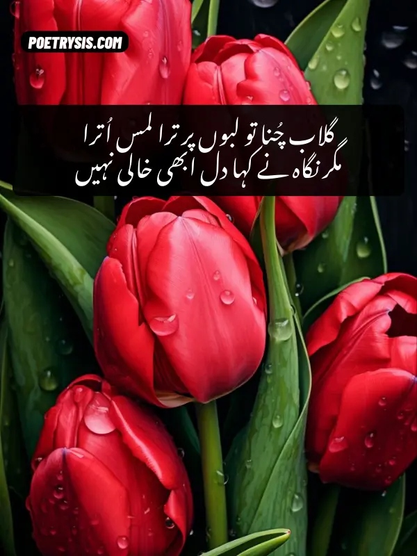Gulab Poetry in Urdu