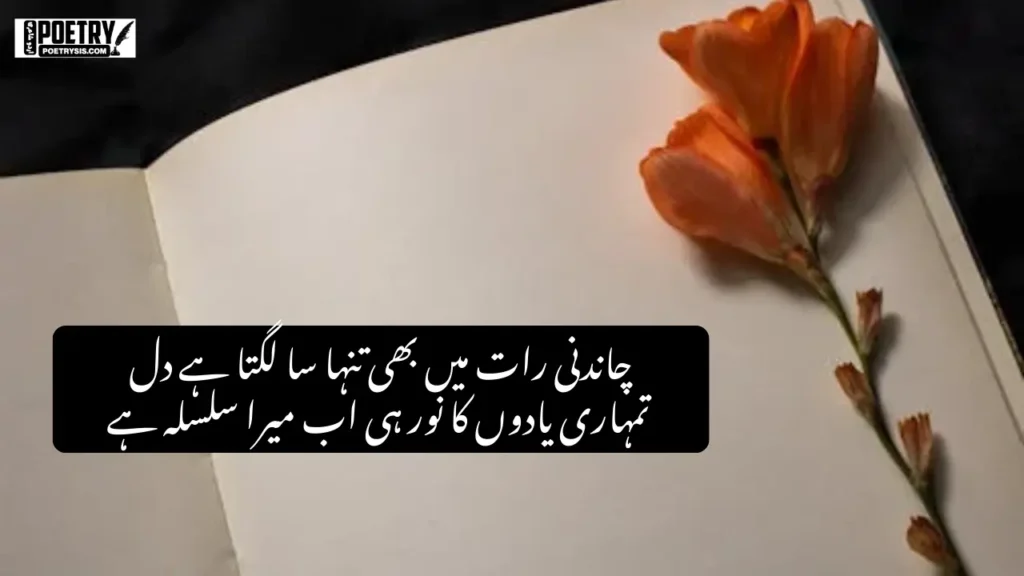 One Line Urdu Poetry (1)