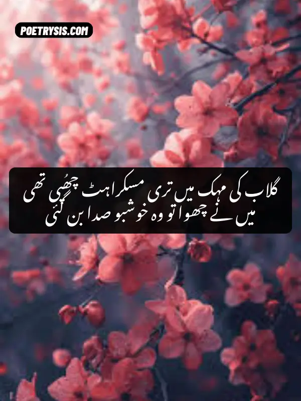 Rose Poetry in Urdu Text