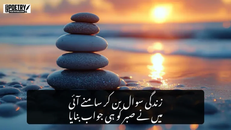 Urdu Quotes About Life