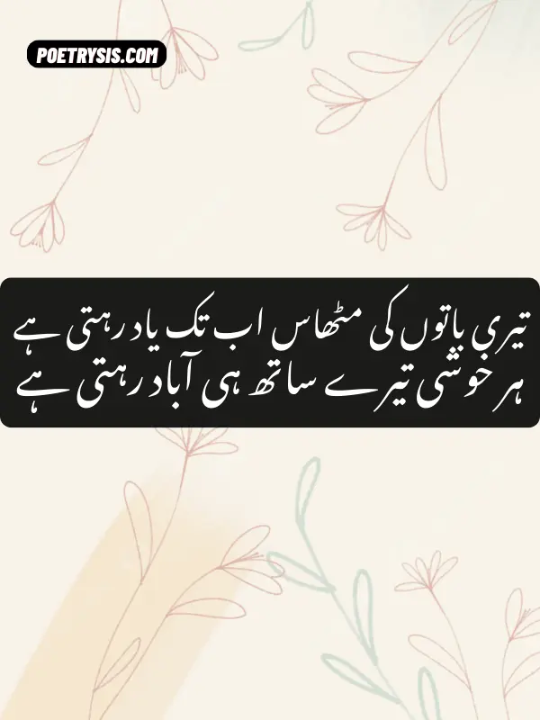 aesthetic poetry in urdu (1)