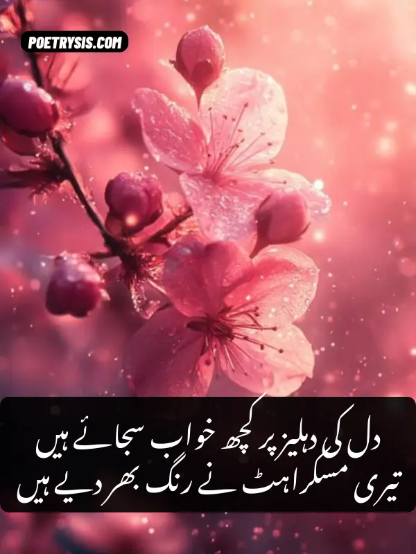 aesthetic poetry in urdu text